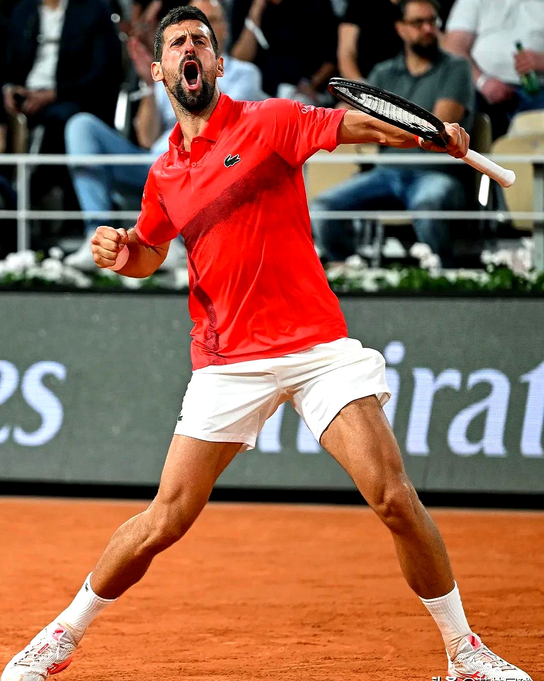 戴维斯杯轻取法网，德约科维奇统治全场