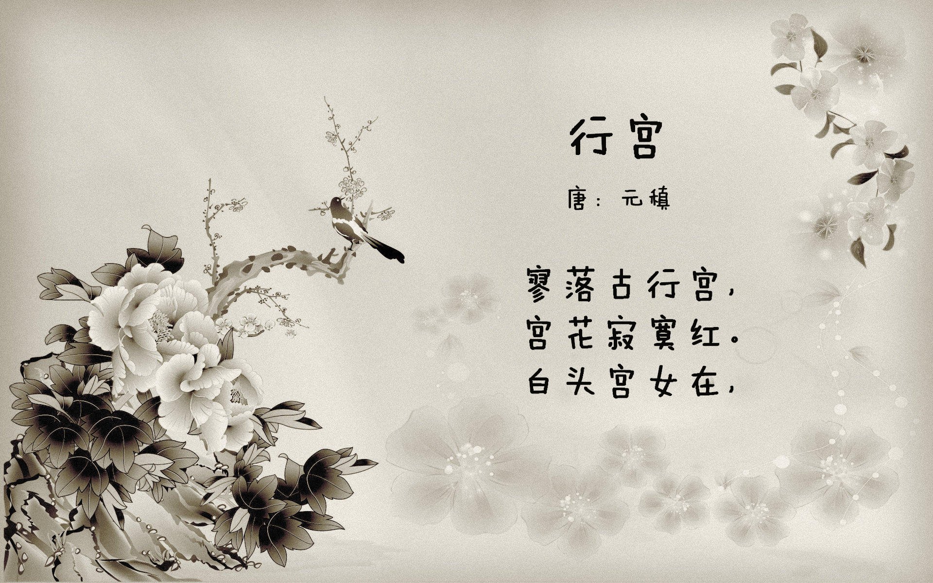 浙江压城,利刃破霄,当整体压制遇上孤胆英雄
