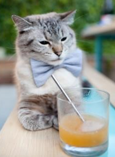 涅槃夜，当哭泣门徒的泪水化为王座前的血痕