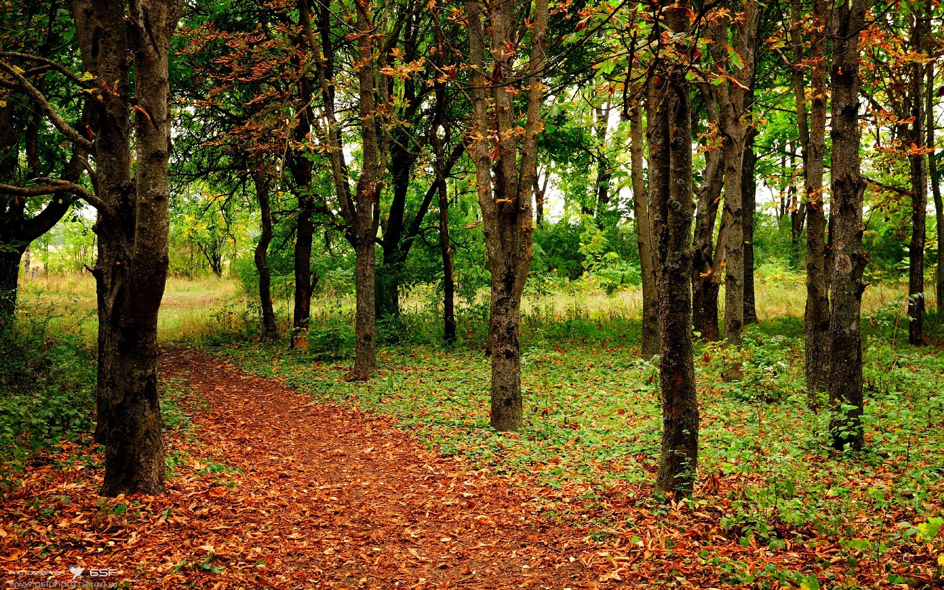 唯一性，佛罗伦萨的技术压迫，本泽马的经验统治—这不是一场偶遇