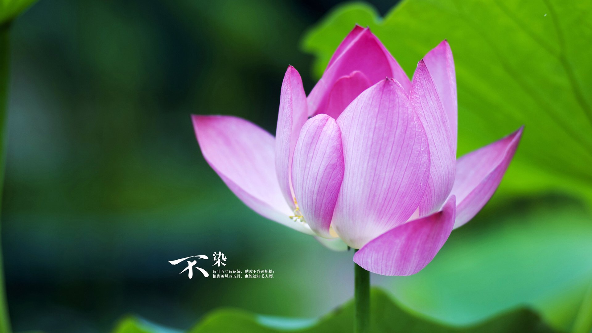 迷宫猎人班凯罗，当雷霆摧毁新疆，我们看见篮球认知的天堑