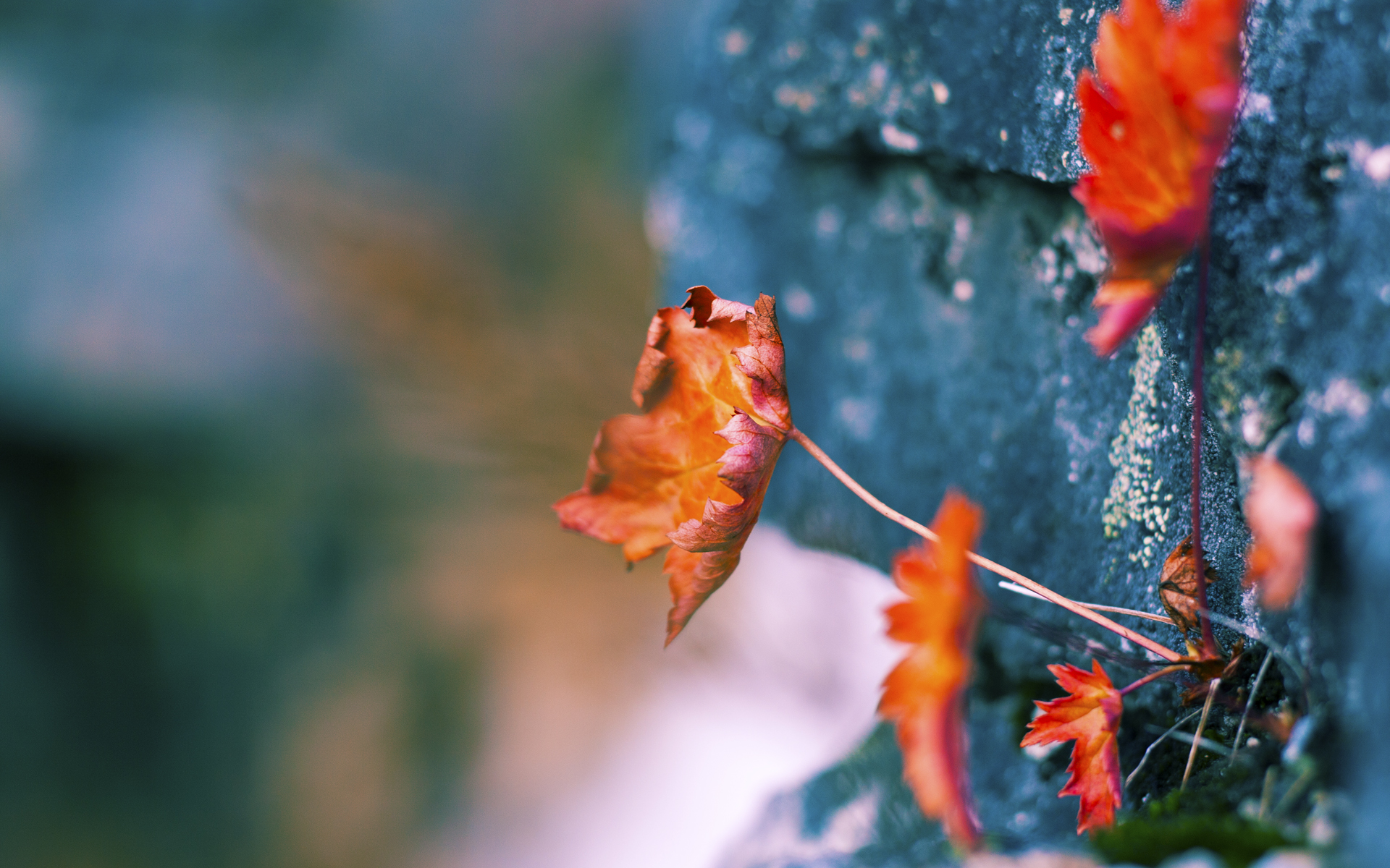 格林的0.3秒天启，尼克斯压哨绝杀公牛，杰伦·格林从质疑到天命