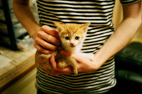 当休斯顿的落日坠入布伦森的时间