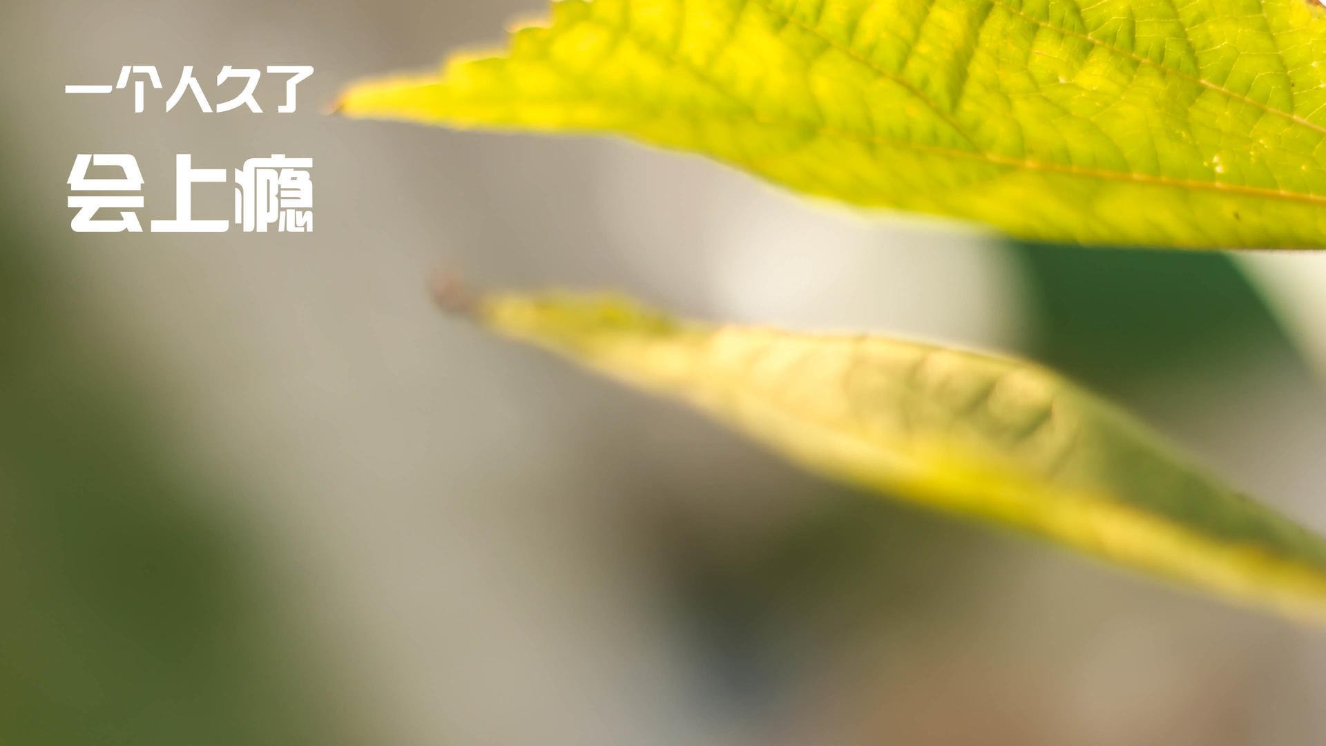 当克莱开启广厦定律，一场颠覆物理学的篮球胜利