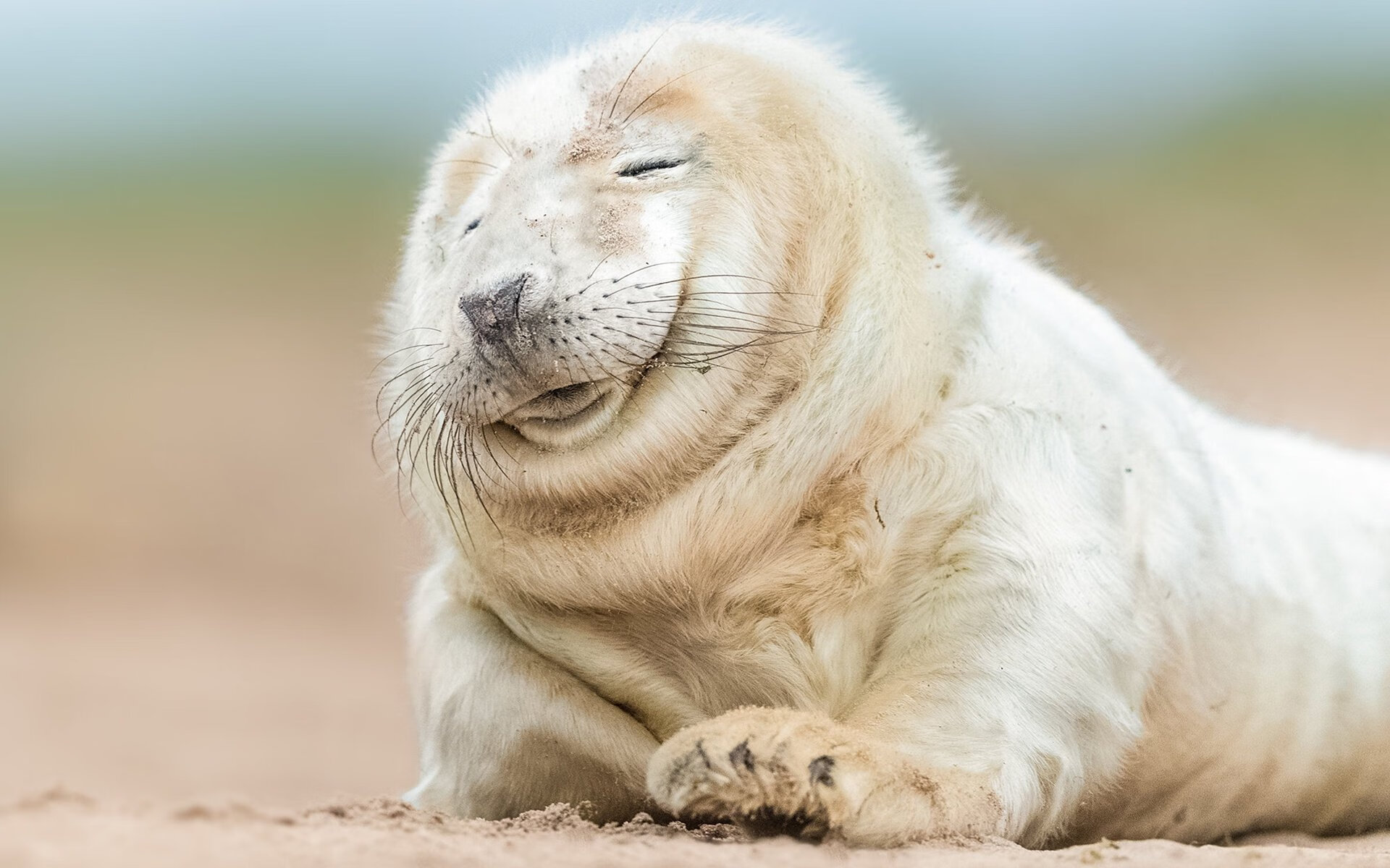 开云体育官网-节奏与决断，那不勒斯式掌控邂逅墨西哥激情，莫德里奇关键战显硬汉本色