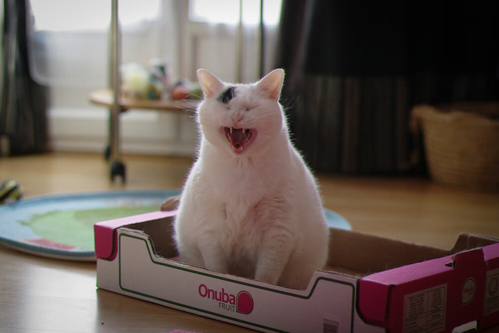 跨越洲际的英雄，金玟哉加时绝杀助智利力克伊朗