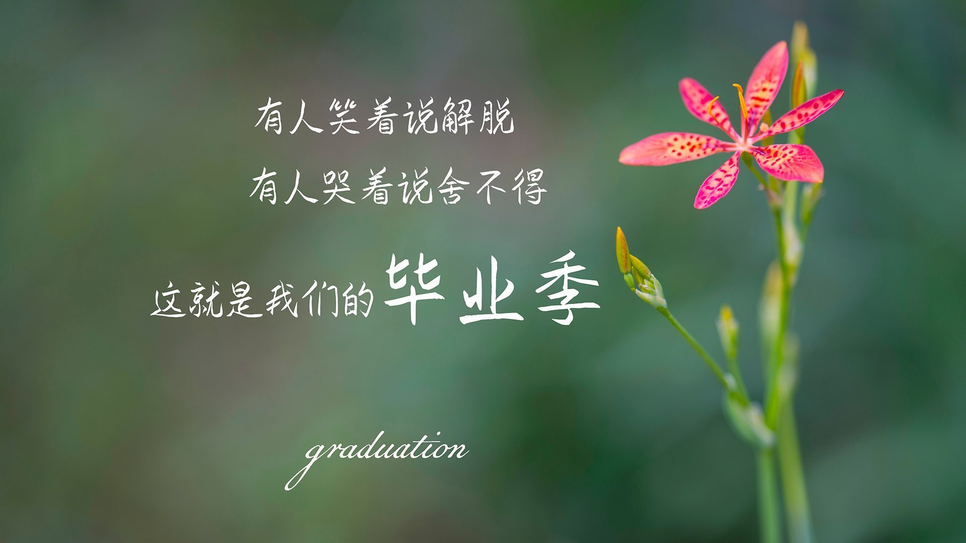 (备选)