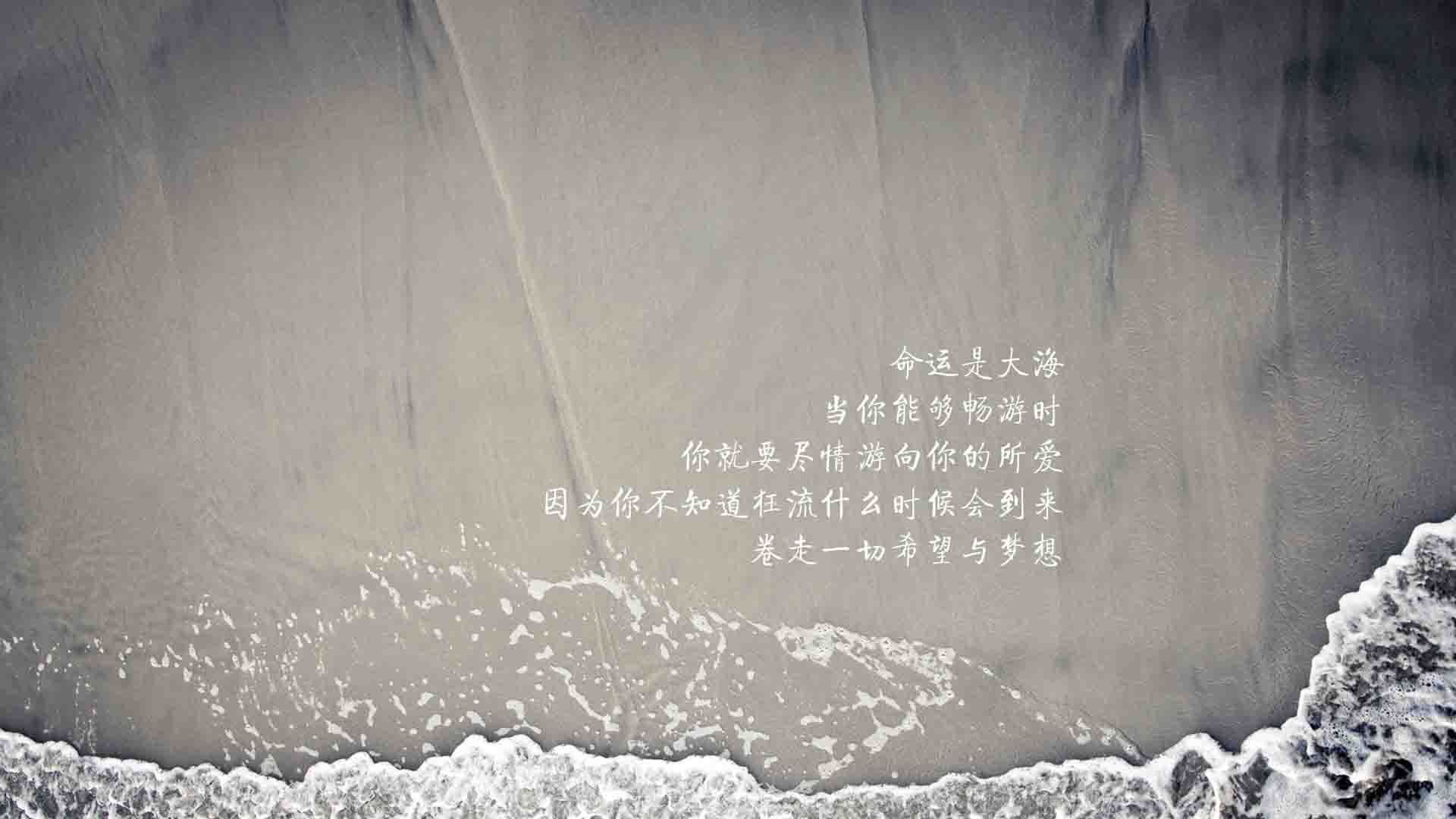 时间的建筑师,2026世界杯F组,梅西如何用一次触球改写美阿对决的永恒命题