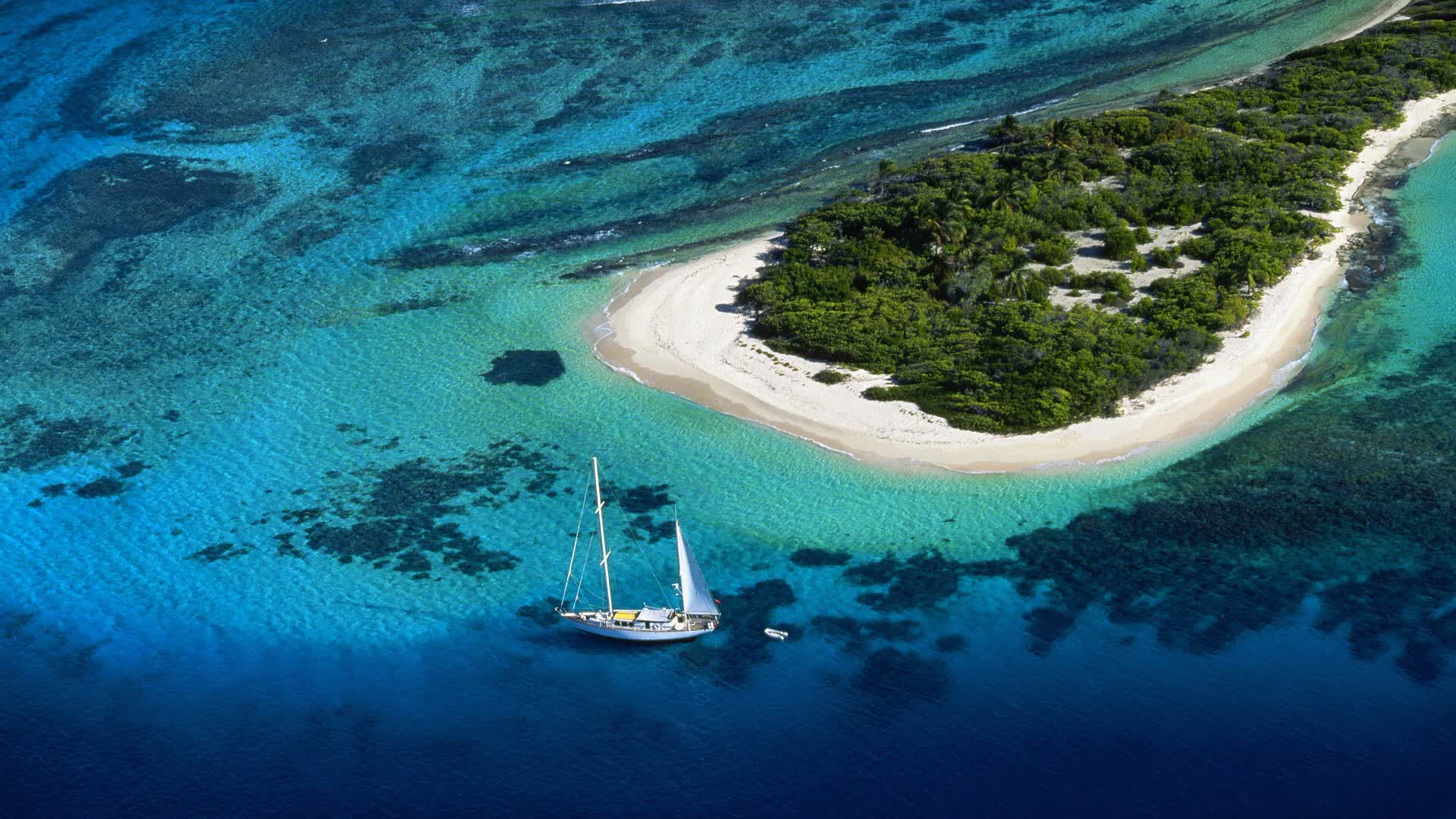 沙漠之狐的黄昏,当德国战车以拜仁密码碾过突尼斯,萨内用一场完美的个人交响乐定义2026的王者归来