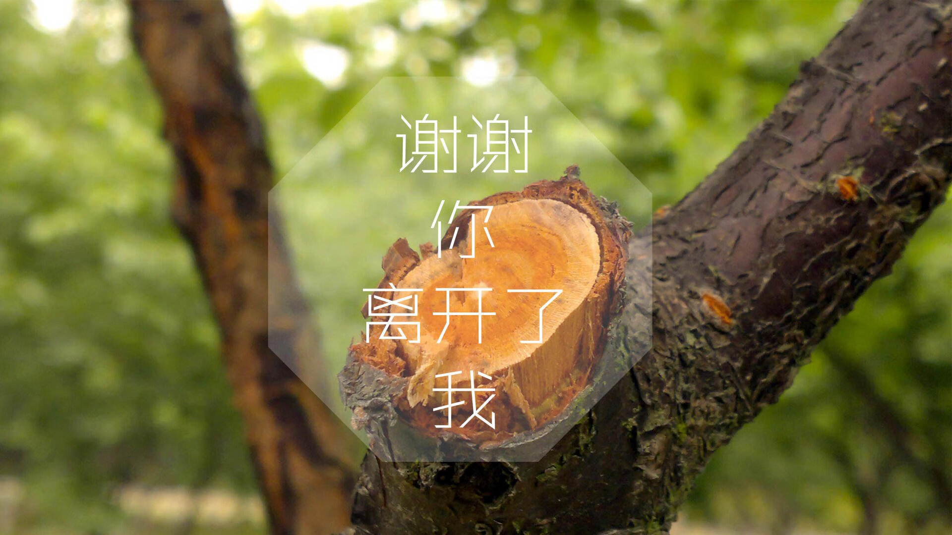 绝杀之夜,节奏为王—德容如何用慢杀死突尼斯