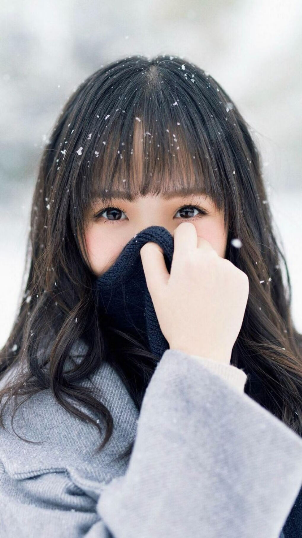 东瀛风暴与格子军魂,2026世界杯B组生死战,两种硬核美学诠释足球的终极答案